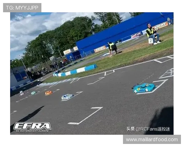 2000年欧锦赛经典对决荷兰队与意大利队的巅峰对抗回顾