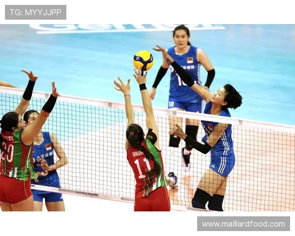 杭州排球队逆袭之旅的挑战赛特别报道与荣耀时刻回顾